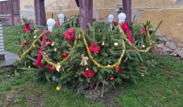 Aktuality / Adventný veniec 2025  - foto