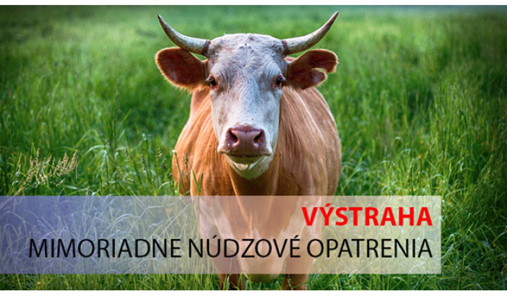 Fotka pre článok Mimoriadne núdzové opatrenia hlavného veterinárneho lekára SR/Rendkívüli sürgősségi intézkedések ragadós száj- és körömfájás