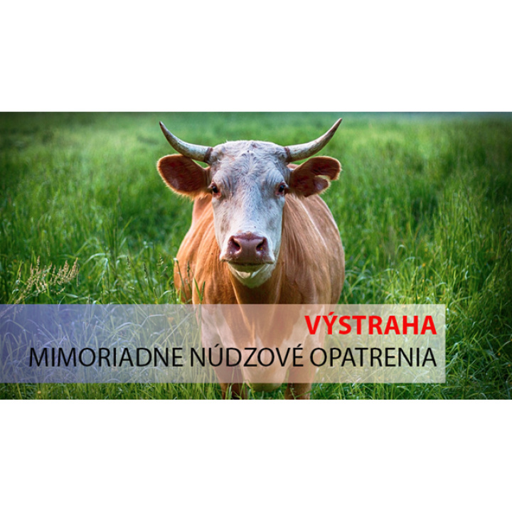 Menšia fotka pre článok Mimoriadne núdzové opatrenia hlavného veterinárneho lekára SR/Rendkívüli sürgősségi intézkedések ragadós száj- és körömfájás