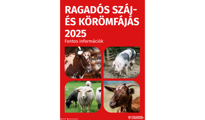Fotka pre článok Ragadós száj- és körömfájás 2025 (RSzKF) Tudnivalók