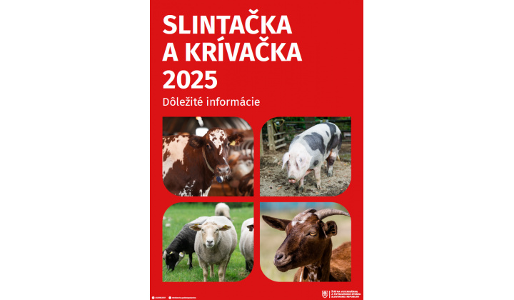 Fotka pre článok SLINTAČKA A KRÍVAČKA 2025