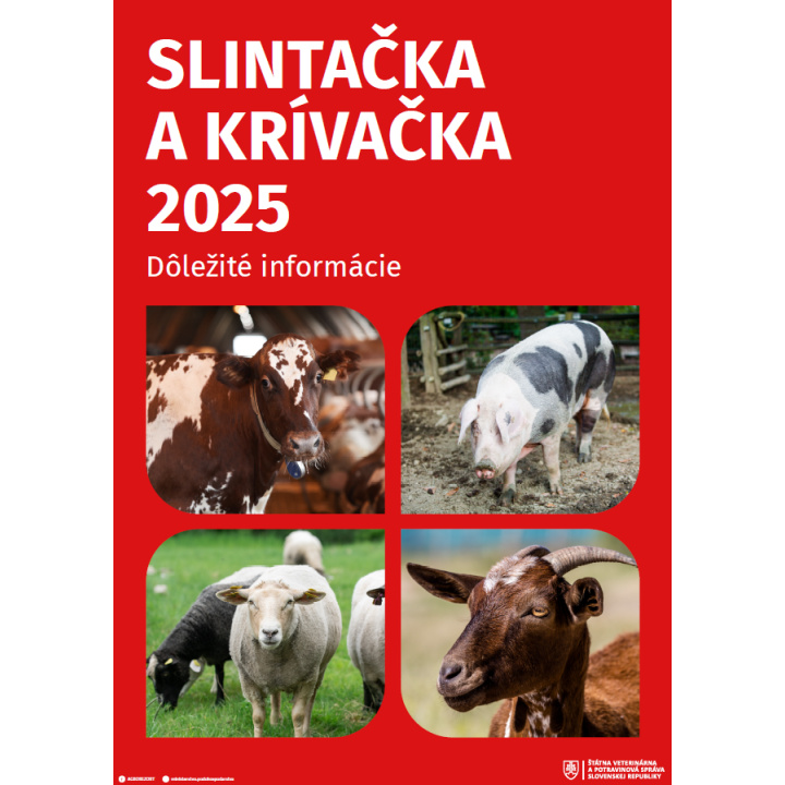 Menšia fotka pre článok SLINTAČKA A KRÍVAČKA 2025